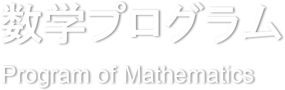 数学プログラム
