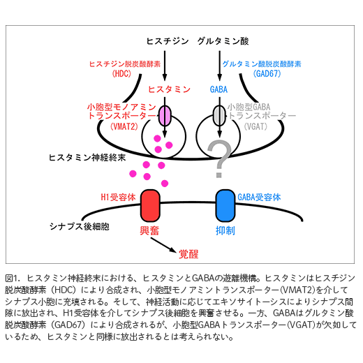 図1 : 