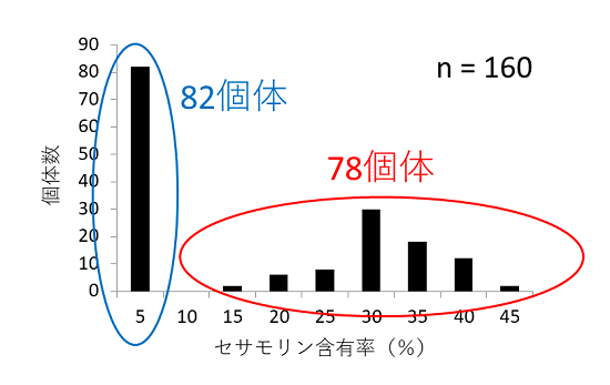 図２