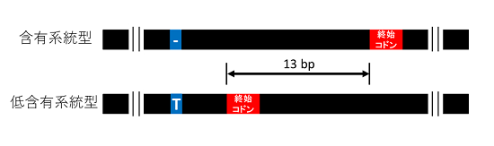 図４