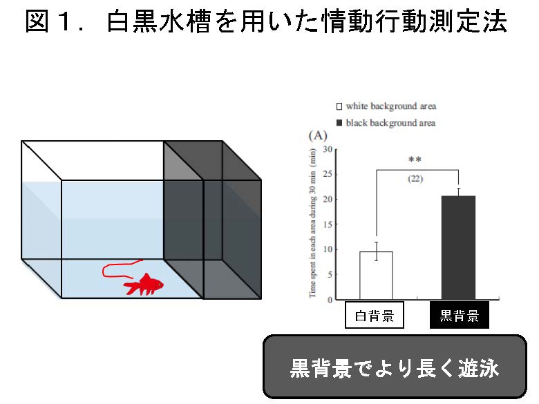 図1