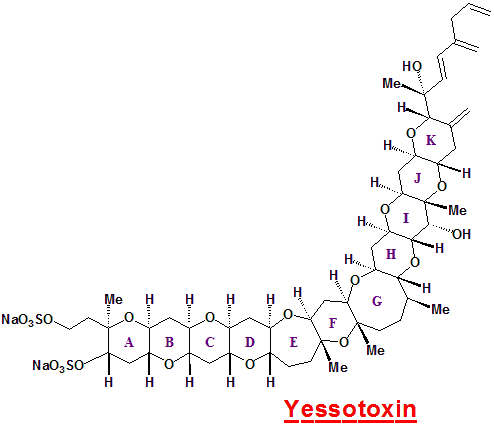 図2