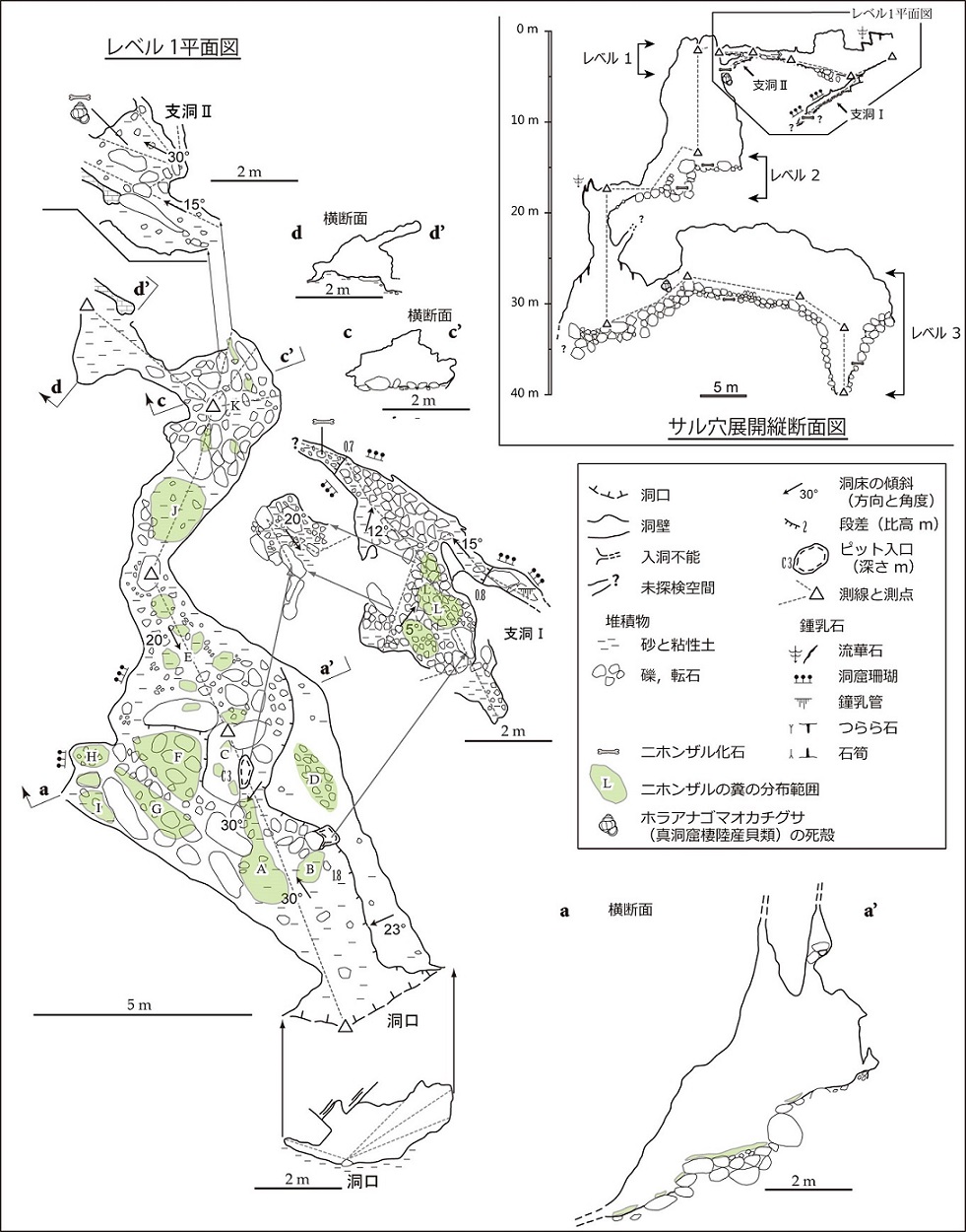 図1 